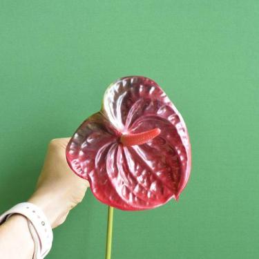 Imagem de Flor Artificial Haste Antúrio 3D  Linha Permanente Formosinha - Brilli