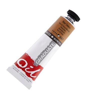 Imagem de Tinta oleo graduate 38ml daler & rowney escolha a cor, 667 - RAW SIENN
