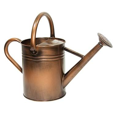 Imagem de Sua joia lata de irrigação de aço galvanizado com detalhes de cobre, difusor de roseta removível, um galão