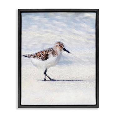 Imagem de Stupell Industries Pintura Blue Coast Sandpiper em tela flutuante, moldura preta, design de arte de parede por Denise Brown, 43 x 53 cm