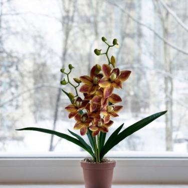 Imagem de 5 Galhos de Orquídea Artificial - Flor Composta por Silicone de Alta Q