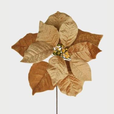 Imagem de Haste Bico De Papagaio Dourado - GRILLO HOME DECOR