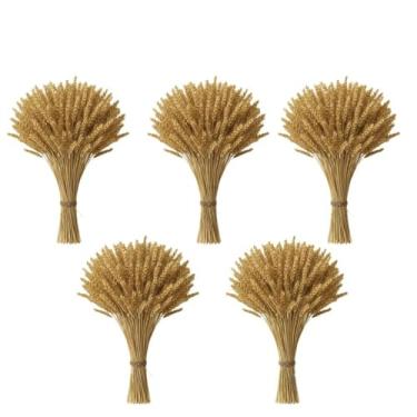 Imagem de Enfeites Para Festa Junina - 400 Hastes De Trigo Seco Natural Para DecoraçãO De Mesa, Arranjo RúStico Elegante Para Arraiá (05 Maços (200 Hastes))