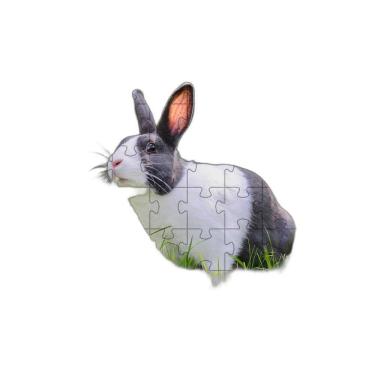Imagem de Quebra-Cabeça Belo Coelho 60 Peças Educativo E Inteligente