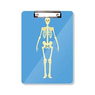 Imagem de Ilustração de corpo humano osso frontal prancheta pasta bloco de escrita placa de apoio A4