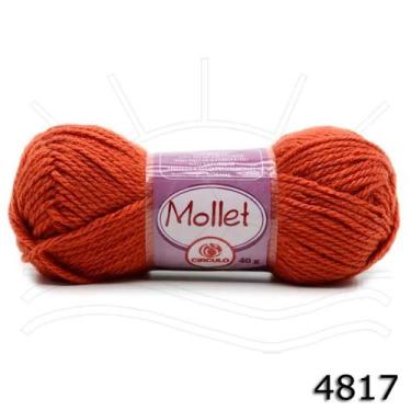 Imagem de Lã Mollet 40g - CÍRCULO, 4817