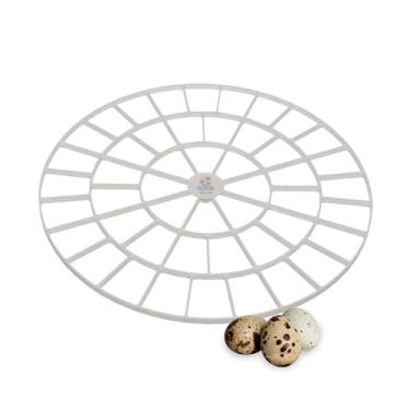 Imagem de Incubator Warehouse Bandejas de ovos para 48 ovos pequenos (codorna/pássaro) – Bandeja durável para incubadora de ovos 360 – Guarda de ovos lavável à mão para frango, ganso, peru, emu (vários