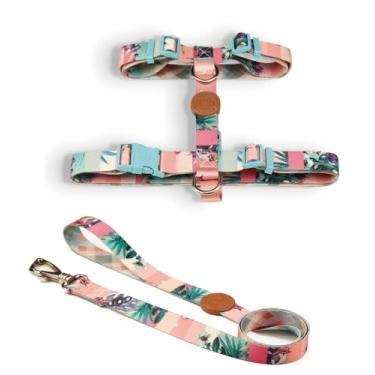 Imagem de Toh Conjunto Peitoral H E Guia Laguna P