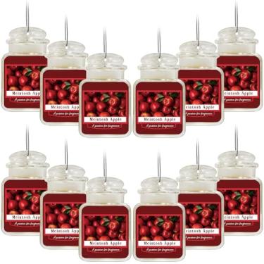 Imagem de Leelosp 12 peças de purificadores de ar em forma de jarra de papel perfumado, guirlanda de outono, fragrância de maçã, abóbora temperada com canela para carro, banheiro, ação de graças (Mcintosh Apple