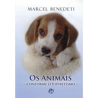 Imagem de Os Animais Conforme o Espiritismo - Marcel Benedeti - FEAL