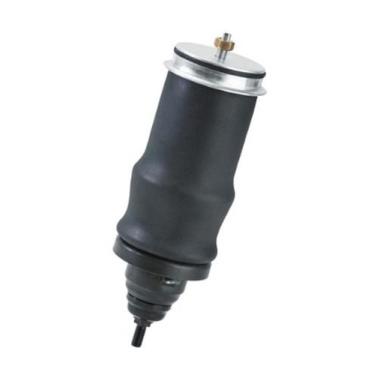 Imagem de Conjunto mola pneumatica dianteira cabine sv série 5 - highline até 20