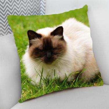 Imagem de Almofada Decorativa Cheia c/ Zíper Gatos Cat Felino - Deluzz, Himalaia