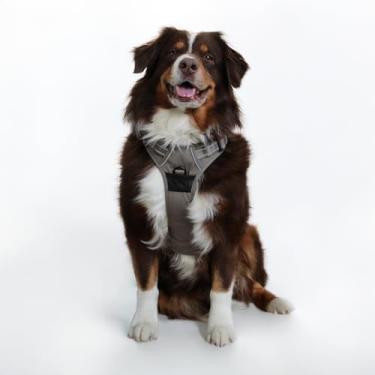 Imagem de Doggie Design Venture Paw Peitoral para cães - Peitoral simples ajustável para filhotes - Coleira antipuxão para cães para caminhadas e aventuras ao ar livre - Sálvia seca, GG