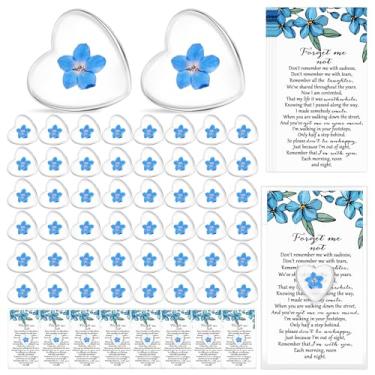 Imagem de Cunno Conjunto de 100 conjuntos de flores Forget-me-not, lembranças de flores secas prensadas em forma de coração com cartões e bolsas de simpatia, fichas de lembrança memorial para funeral, casamento
