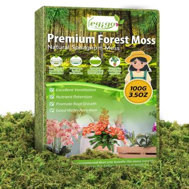 Imagem de Legigo Musgo verde real de 100 ml para artesanato, musgo decorativo natural de 4 litros para plantas em vasos, decoração floral de terrário, musgo de plantas secas para jardins de fadas artificiais