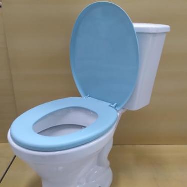 Imagem de Assento Tampa Vaso Sanitário Oval Universal Não Almofadado Resistente Confortável Diversas Cores(AZUL CLARO - AZ1)