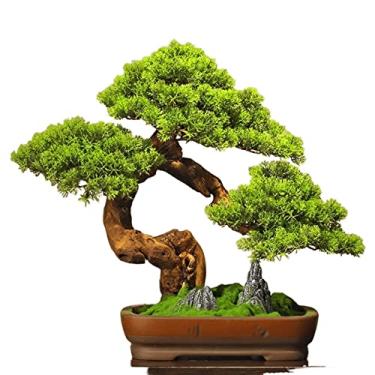 Imagem de Árvore artificial, bonsai, zimbro, simulação, jardim, vaso de planta, adequado para decoração de mesa de interior, ornamentos de árvore falsa