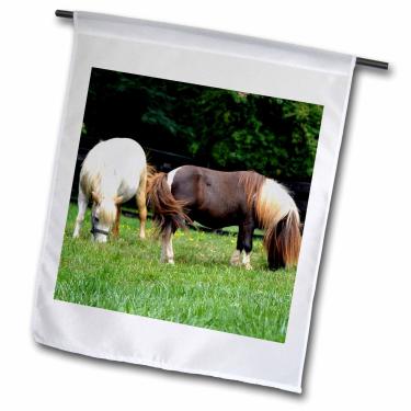 Imagem de 3dRose fl_54541_1 2 Bandeira de Jardim Comendo Cavalos Miniatura, 30 x 45 cm