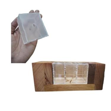 Imagem de Caixa de Acrílico para Abelha Lambe Olhos – Kit 3 Unidades – Caixa Didática Transparente para Observação e Estudo de Abelhas Nativas – Material Resistente e Leve