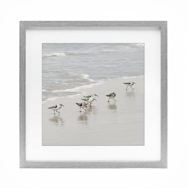 Imagem de Stupell Industries Impressão emoldurada cinza Pássaros Sandpiper Scurrying Design Under Glass por Natalie Carpentieri, 40,6 x 40,6 cm