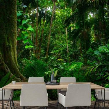 Imagem de Papel de Parede Paisagem Floresta Natureza Sala Adesivo - 060pcm - All