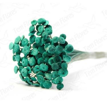 Imagem de Botão Branco Desidratado Sempre Viva Flores Secas Variações - Pense Fl