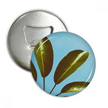 Imagem de Blue Sky Folha Planta Imagem Natureza Abridor de Garrafas Imã de Geladeira Emblema Multifuncional