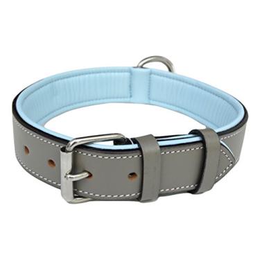 Imagem de Soft Touch Collars Coleira de couro acolchoada para cães, cinza e azul, tamanho grande, couro genuíno de flor integral
