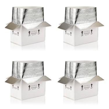 Imagem de TUKYLIL Caixas de Remessa Isoladas de 10x6x7'', 4 Unidades, com Revestimento de Papel Alumínio, Caixa Dupla Isolada para Alimentos Congelados e Quentes, Caixa Térmica Reutilizável (, Branco)