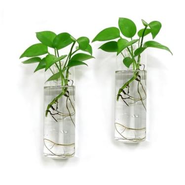 Imagem de Bunhut Plantadores de parede para plantas de interior, plantadores de terrário para pendurar na parede, plantadores de parede de vidro para arranjos florais, suporte de plantas suspensas, vaso de parede, plantadores de parede (2 plantadores de parede de vidro)