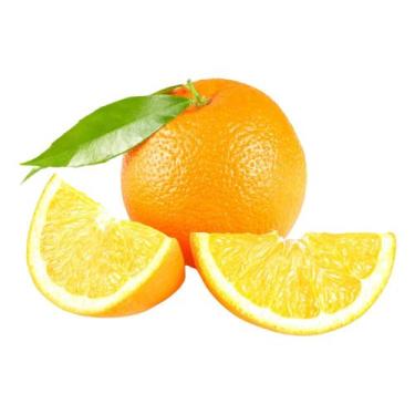 Imagem de Muda Frutífera de Laranja Salustiana Enxertada - AgroJardim