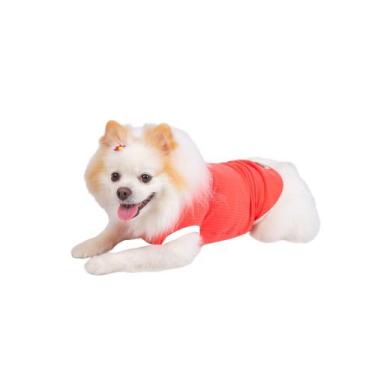 Imagem de Roupa Pet Canelada Salmão - Luvy Pet, P