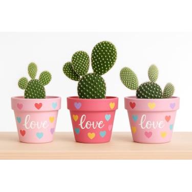 Imagem de Trio de Vasos de Barro Pintados à Mão – Decoração Amorosa e Charmosa para Seu Lar