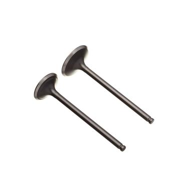 Imagem de Valvula Adm/esc. (par) Ww3 Xre 190