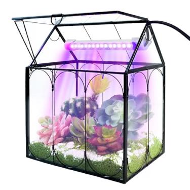 Imagem de Kit de terrário de plantas com luz de cultivo, pequeno pote de terrário de vidro Rifny com tapete absorvente e tampa para armadilha para moscas de Vênus, suculentas, plantas de ar vivo, decoração de