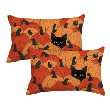 Imagem de AVOIN colorlife Capas de almofada Fall Pumpkins 30 x 50 cm, gato preto, sazonal, outono, Ação de Graças, colheita, decoração para sofá, casa de fazenda, conjunto com 2