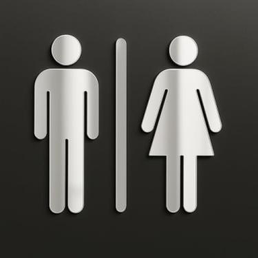 Imagem de Placa de sinalização Feminino Masculino para banheiros e lavabos em acrilico espelhado (Prata)