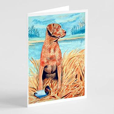 Imagem de Caroline's Treasures 7112GCA7P Cartões de felicitações e envelopes Chesapeake Bay Retriever, pacote com 8, 7 x 5, multicolorido