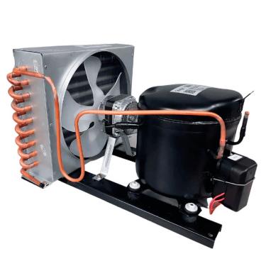 Imagem de Unidade Condensadora sem Tanque 1/2 HP Elgin 45UCM0030ES2 - 220V