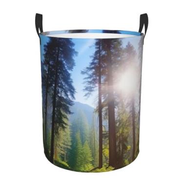 Imagem de National Parks Cesto de lavanderia com árvores ensolaradas, dobrável, impermeável, cesto de armazenamento de roupas com alças, pano Oxford, organizador de brinquedos, cesta para banheiro, lavanderia