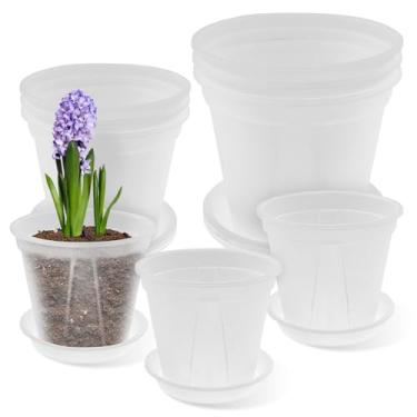 Imagem de FALESOUL Vasos de berçário transparentes de 1,5 cm com drenagem e bandejas, pacote com 9 vasos de plástico para plantas, vasos de mudas de plantas transparentes para início de sementes, transplante