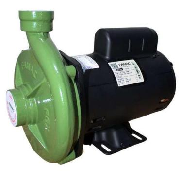 Imagem de Bomba Centrífuga para irrigação 1,5 CV 1 pol. 19,5 m³/h 127/220 - FAMA