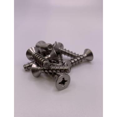 Imagem de Hayward SP1090 Swimming Pool Skimmer Genérico Substituição Aço Inoxidável Parafusos de Placa de Face - Quantidade 10 Pacotes