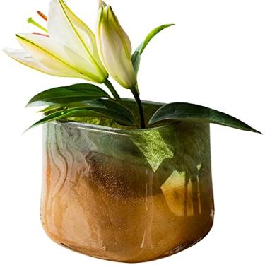 Imagem de Vaso de vidro para flores, vasos decorativos, vaso de vidro translúcido, arranjo de flores hidropônico, vaso art déco moderno, leve, luxuoso, decoração de mesa de jantar, vaso marrom usado