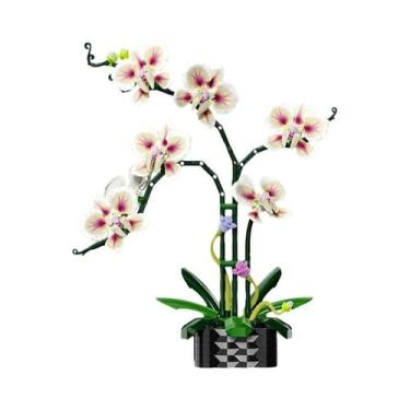 Imagem de Orquídea Cymbidium Phalaenopsis Flores Eternas Em Vaso Blocos De Monta