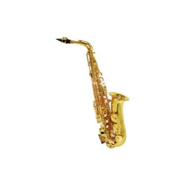 Imagem de Saxofone Alto Shelter Laqueado C/estojo Dourado Laqueado Cor:Dourado/P