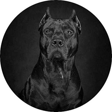 Imagem de Capa para Estepe Ecosport Crossfox Pit Bull CN1000 - Lorben