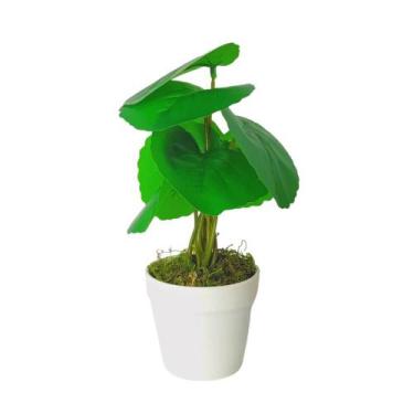 Imagem de Arranjo de Planta Artificial em Vaso de Plástico - Melhores Ofertas , 