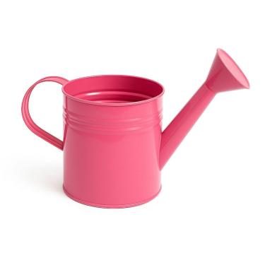 Imagem de Mini Regador Aberto Aço Galvanizado 3 Litros para Jardim e Festas - SF223