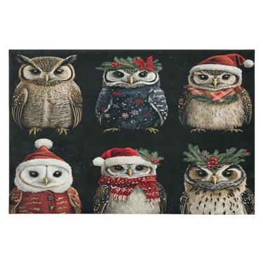 Imagem de CEBUGI Tapete de área 60 x 90 cm macio lavável tapete antiderrapante com fundo de borracha corujas tapetes de área para sala de estar, quarto, decoração de casa